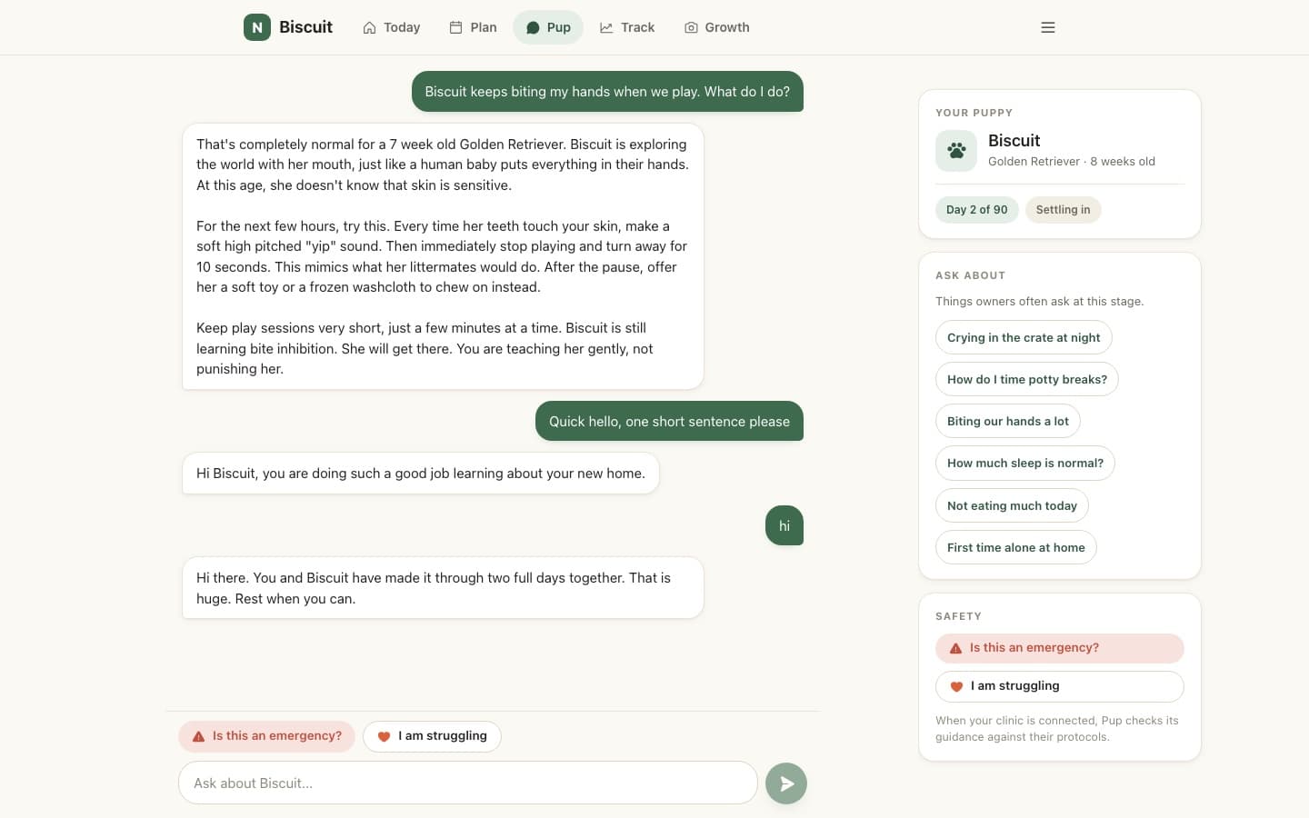 The Pup chat with a calm answer about puppy biting and suggested questions