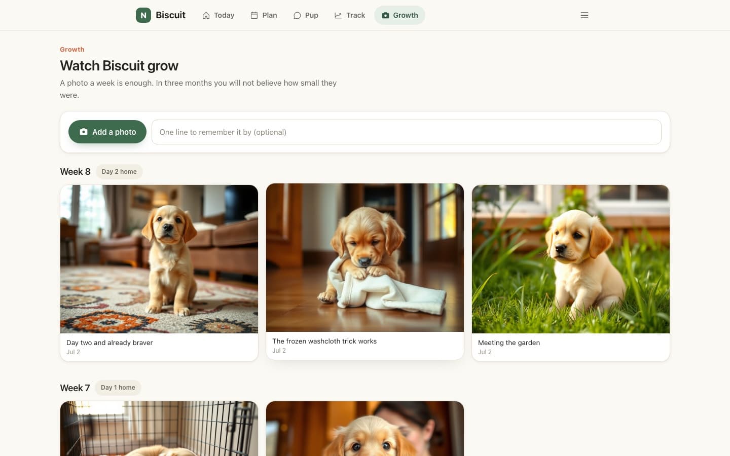 The Growth page with puppy photos arranged week by week